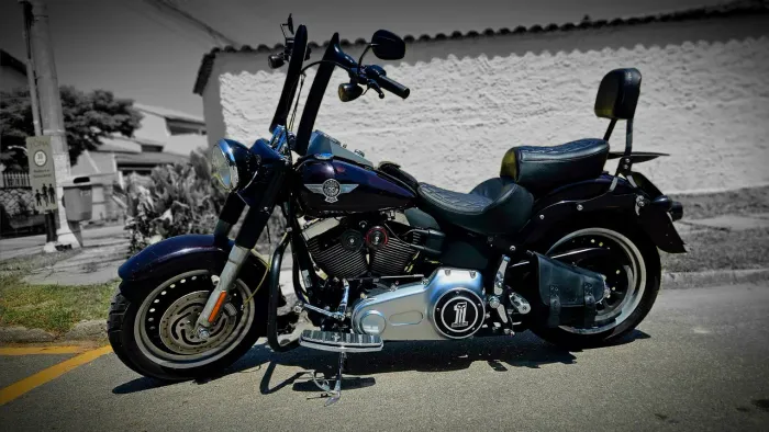 Fatboy Special low *ABAIXO DA FIPE*