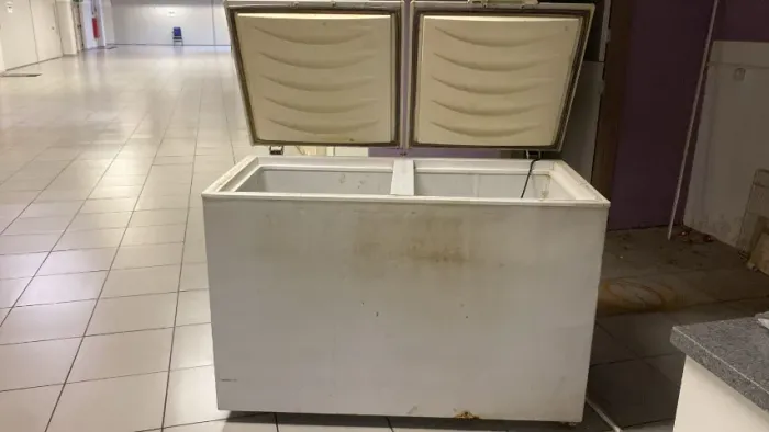 Freezer Horizontal