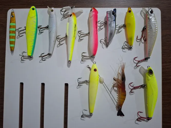 Itens de pesca conservados