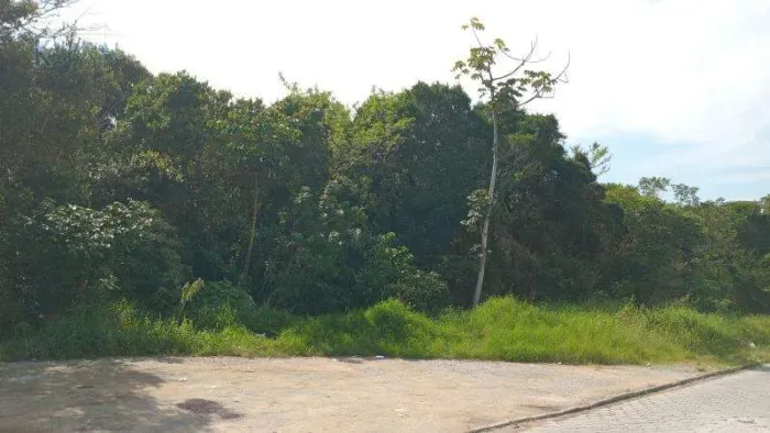 Terreno Aririu