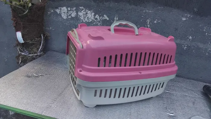 Caixa transporte para pet número 2 com medidas 48x34x29 cm)
