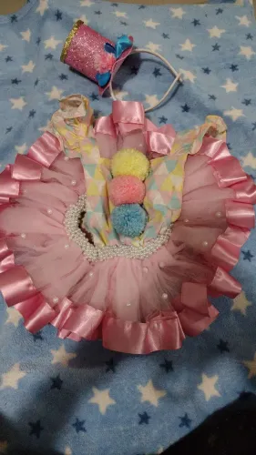 Fantasia Circo Rosa Menina 1 ano
