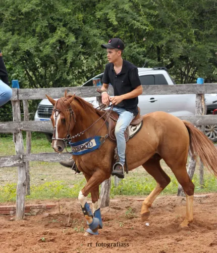 Cavalo de direita