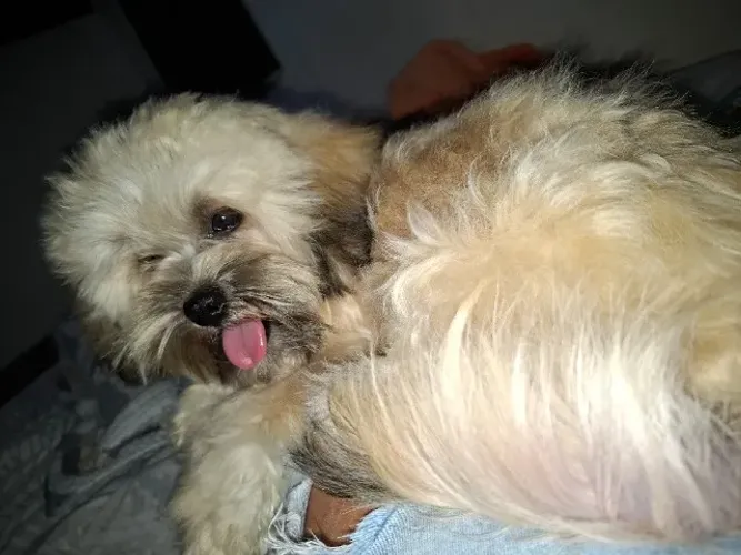 Disponível para venda