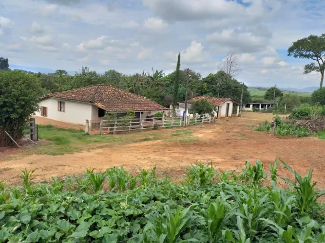 Fazenda de Café 60 Alqueires Contendo 550 mil Pés de café Planta mais 100 mil Pés Terra Ro
