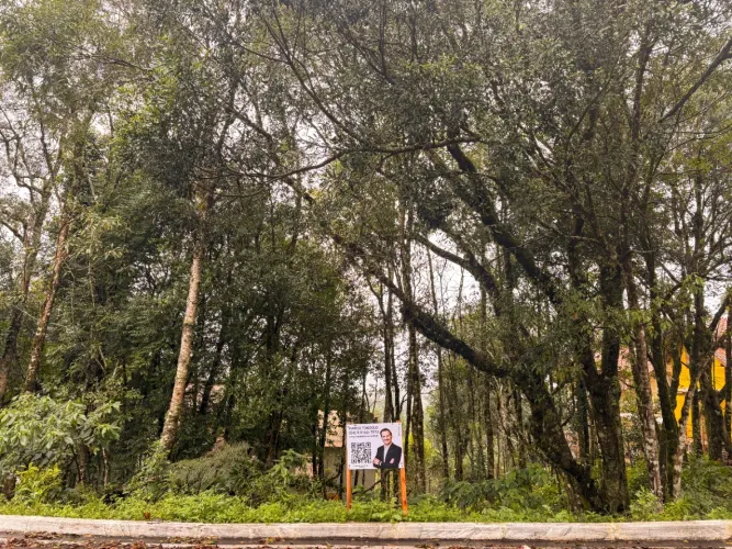 TERRENO PRÓXIMO AO MIRANTE DO MORRO DA POLENTA NO VALE DOS PINHEIROS