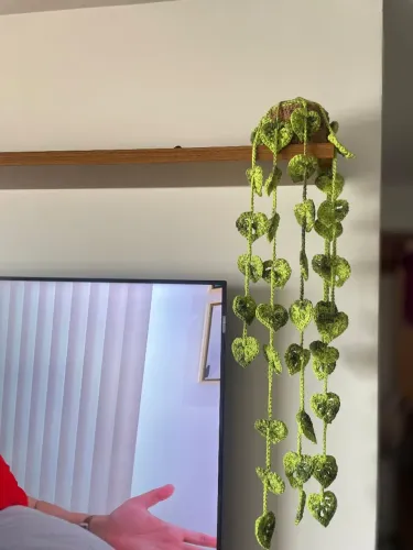 Planta pendente em crochê 