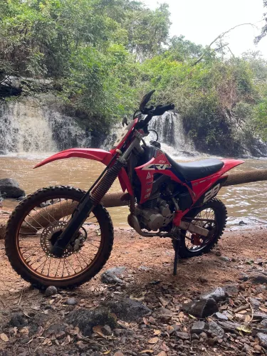 Crf 230