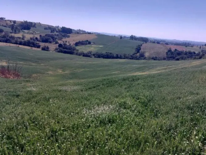 Imóvel Rural com Área de 72.600 m² (Gleba Alvorada) - Colônia Muquilão - Nova Tebas - PR