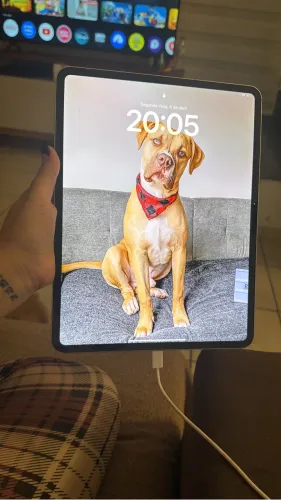 iPad Pro 13 M4 256g
