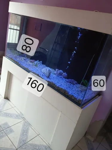 Aquário para peixes completo 