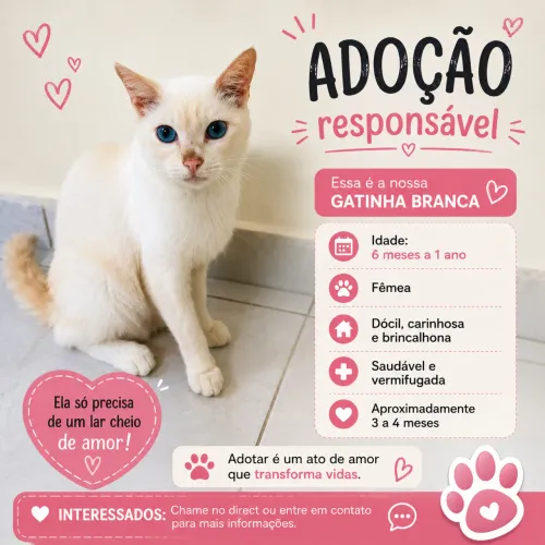 GATINHA FLOCADA E FOFINHA PRA DOAÇÃO 
