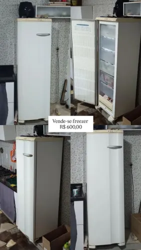 Freezer Frost Free