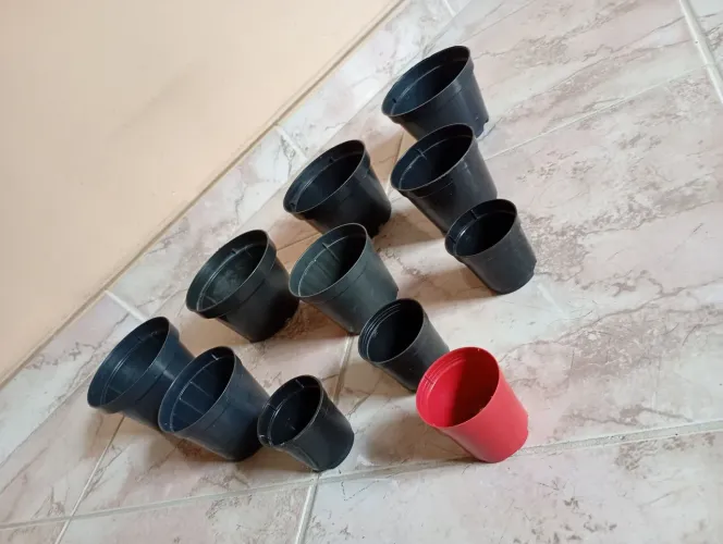 Vasos