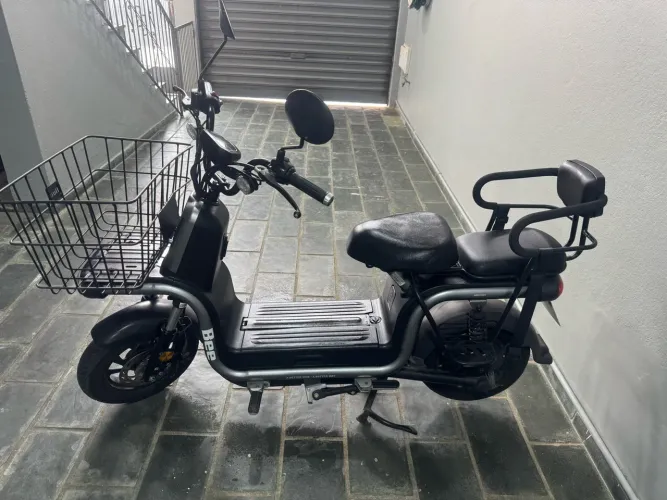 Moto elétrica Bee 800w