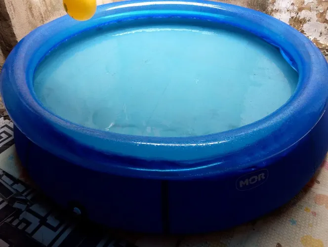 Piscina inflável da MOR, 2500L