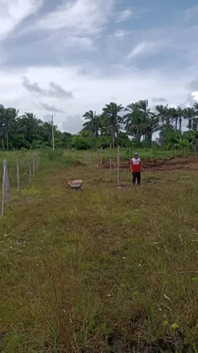 Terreno 8x20 Plano na Ilha Barra do Pote - R$15mil | Desconto nos 2!