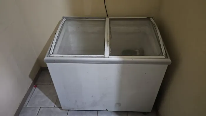 FREEZER 220V