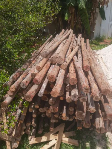 Escoramento de 3.5 mts cada. 8.50 a unidade