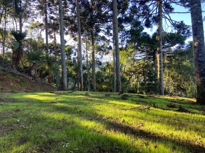 Terreno em Urubici - MORRO DA IGREJA - 4 hectares