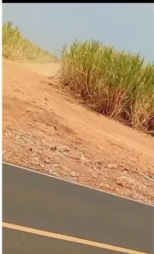 FAZENDA À VENDA APTIDÃO PARA CANA-DE-AÇÚCAR TERRA DE CULTURA