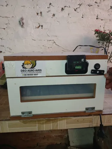 Chocadeira de ovos