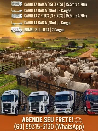 Rondônia 