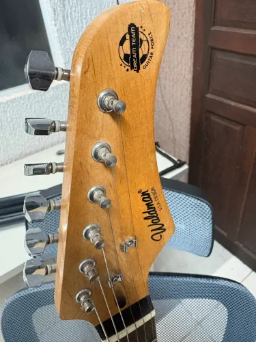 Guitarra Waldman GTU1