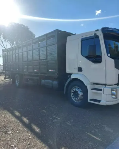 Volvo VM 310 toco boiadeiro 2011