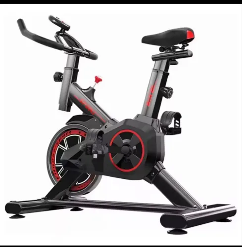 Bicicleta ergométrica