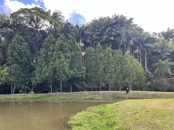 Sítio Escriturado 32.860m² Lagoa Riacho Casa 200m² Belchior Baixo Gaspar