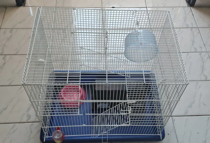 Vendo gaiola hamister, rato twister...
