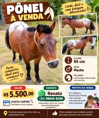 Ponei 