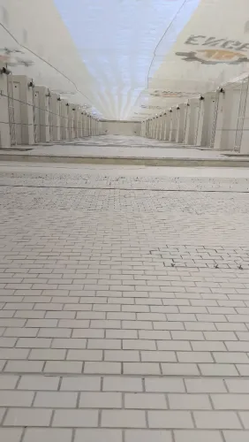 Vaga para Cordeiro