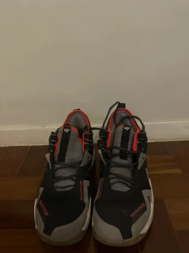 Nike Air Jordan Why Not?