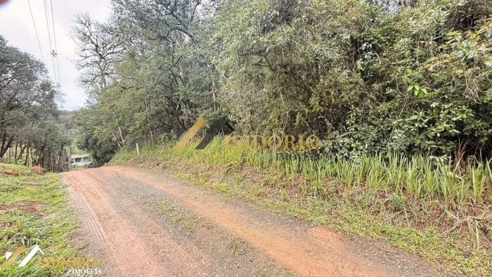 EXCELENTE TERRENO EM QUATRO BARRAS!!! 5000m², PRÓX GRACIOSA