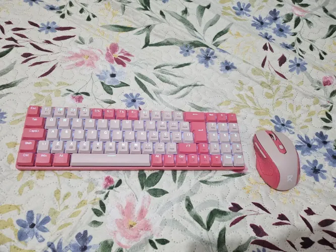 Kit Mouse e teclado mecânico sem fio Redragon Rosa 