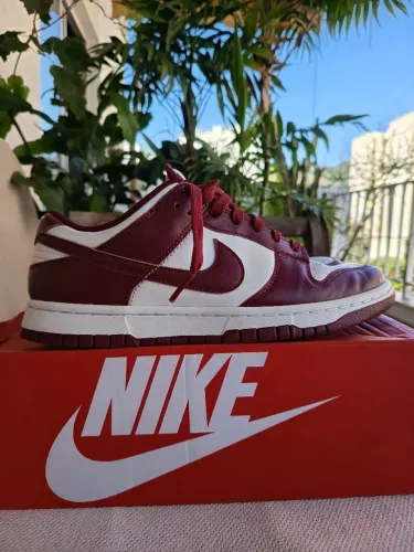 Dunk Low Team Red 40