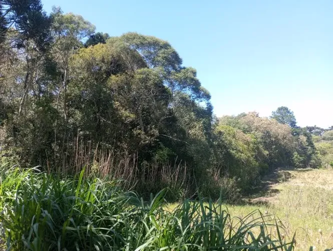 Área de terras com 10.890 m² em Mandirituba/Pr