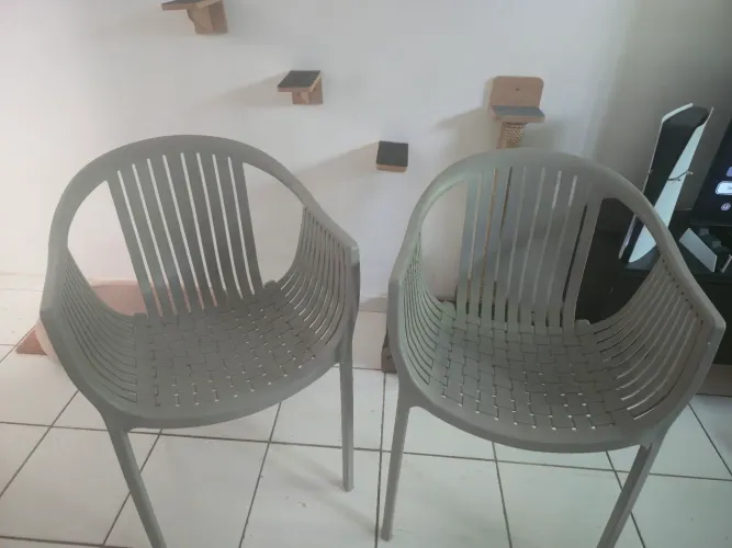 2 Poltronas Columba Plasútil