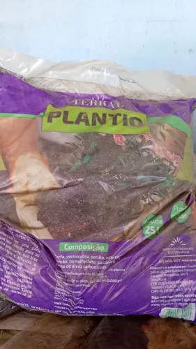 Terra para plantio