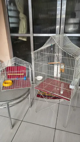 Duas gaiolas de ferro