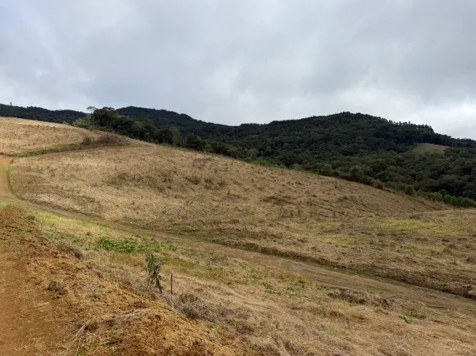 ANITÁPOLIS/SC - Terreno para sítio com 2 hectares 