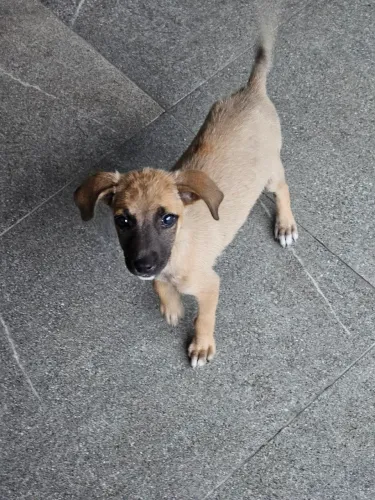 Doação Responsável 