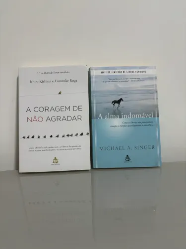 Kit 2 livros-Autoconhecimento e desenvolvimento pessoal.