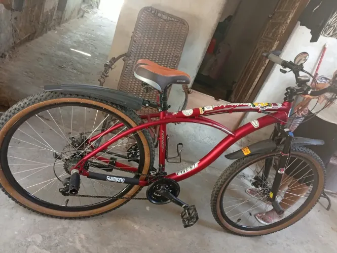 Bicicleta