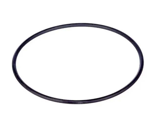 Anel Vedação Bomba Agua S10 6cc 4.2 Gm