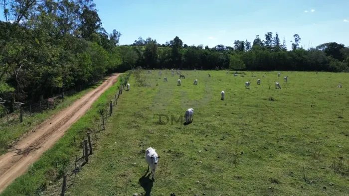 Fazenda/Sítios/Chácaras À Venda Vila Rural Jataizinho