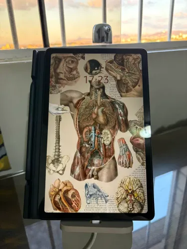 Tablet Samsung S6 Lite 64 GB