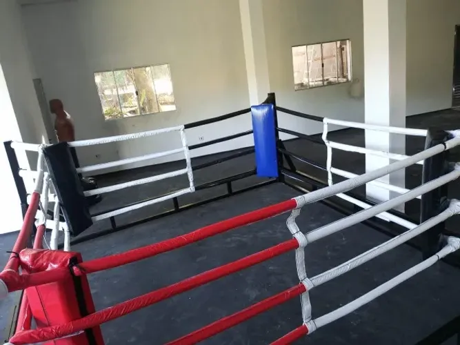 Ringue De Luta Desmontável Para Eventos E Academias